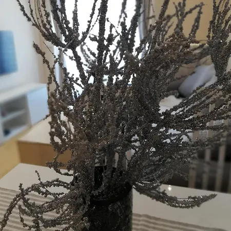 Lejlighed Lux Natasa