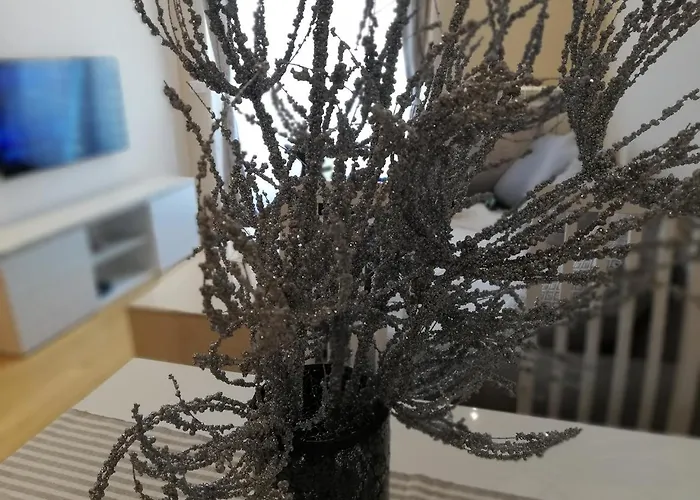 Апартаменты Lux Natasa